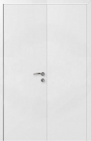 Дверь двупольная равнопольная белая